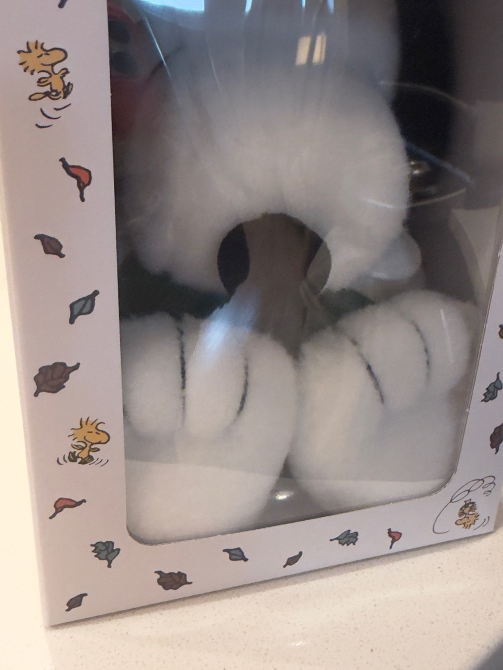 Starbucks Snoopy Plushie